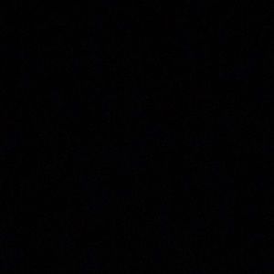 Meet your Posher, Isabella